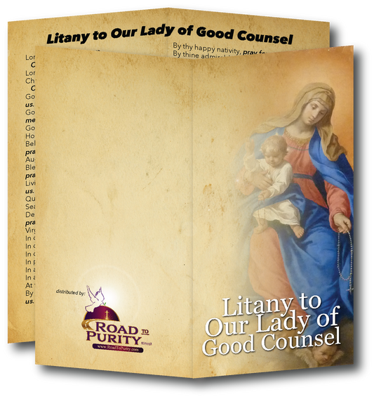 Litany to Our Lady of Good Counsel  - Prayer Card / 3" x 6" folded