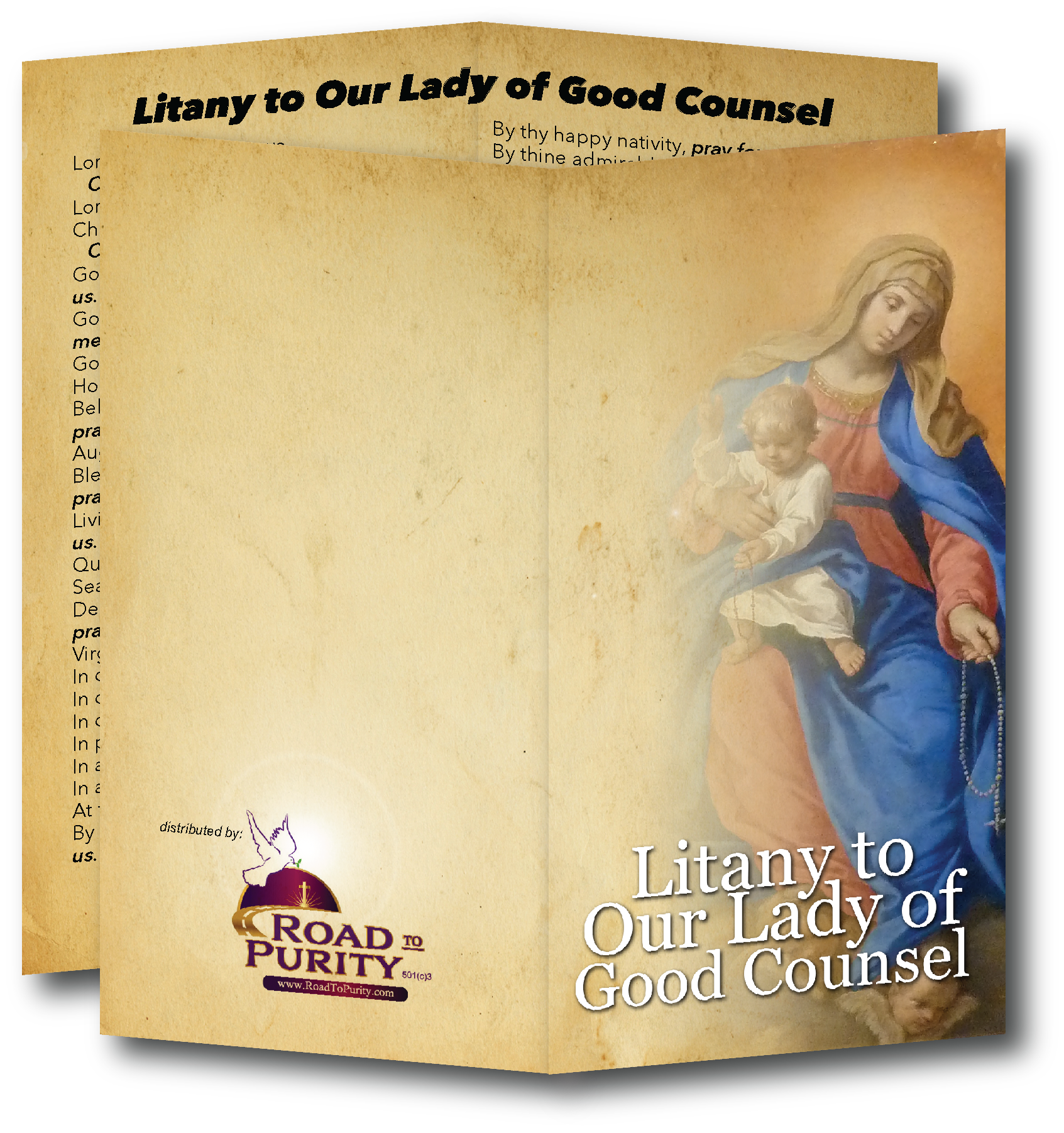 Litany to Our Lady of Good Counsel  - Prayer Card / 3" x 6" folded