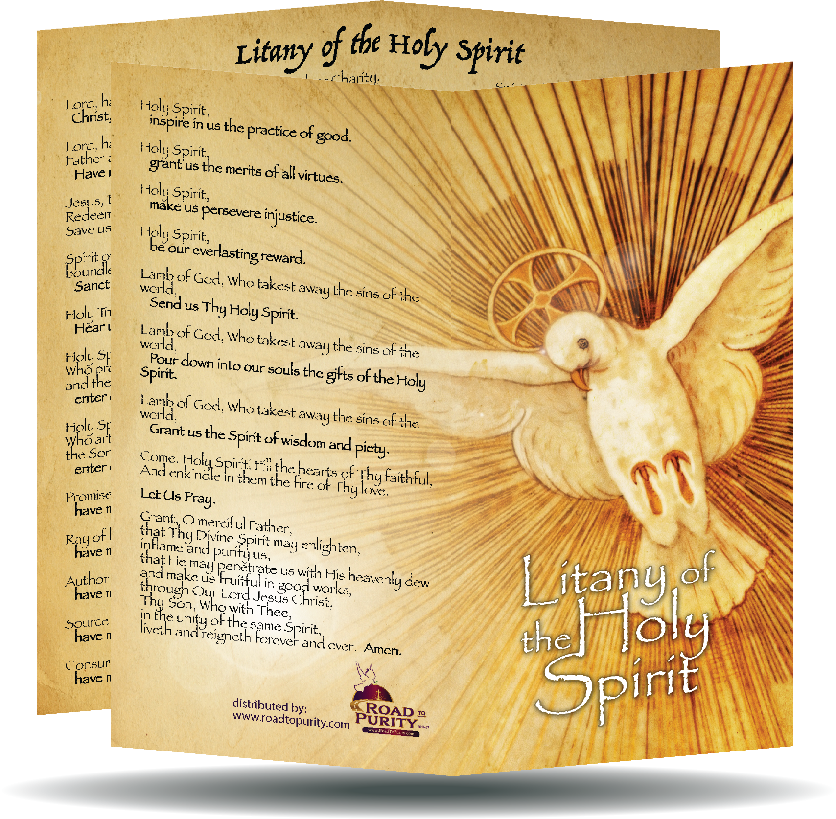 Litany to the Holy Spirit  - Prayer Card / 3" x 6" folded