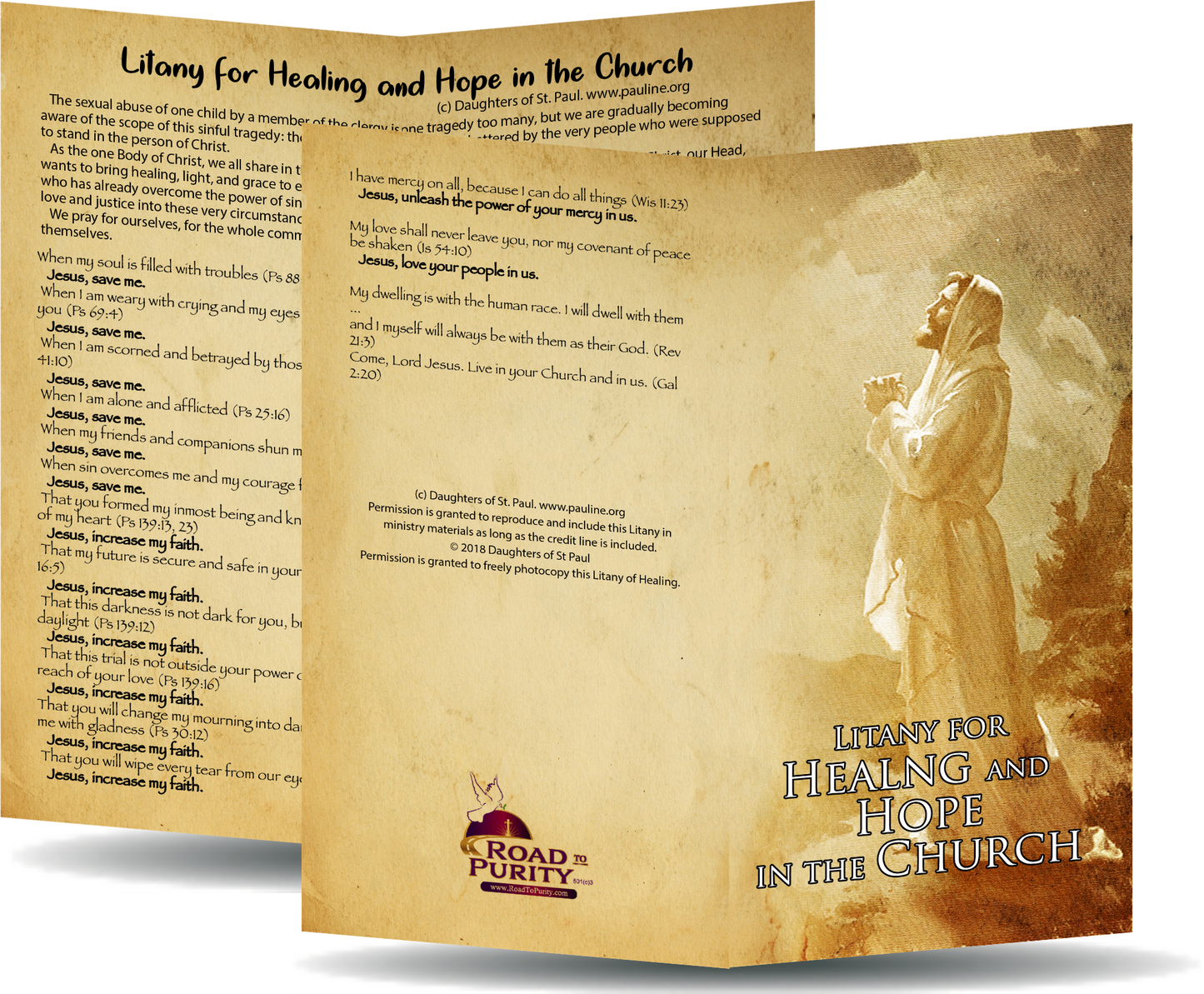 Litany for Healing and Hope in the Church - Prayer Card / 3" x 6" folded
