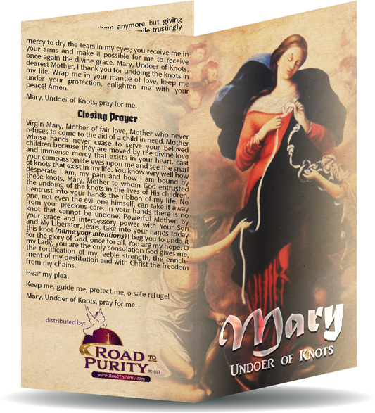 Mary Undoer of Knots novena  - Prayer Card / 3" x 6" folded