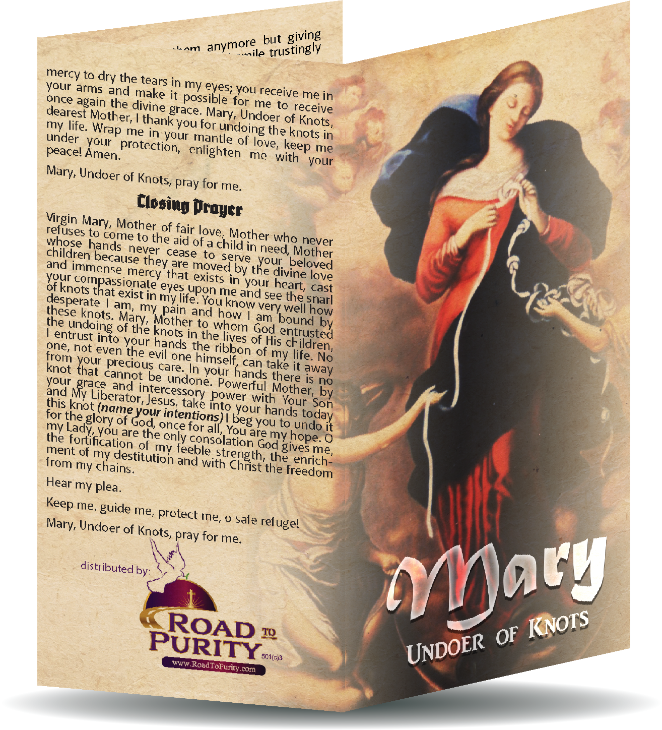 Mary Undoer of Knots novena  - Prayer Card / 3" x 6" folded