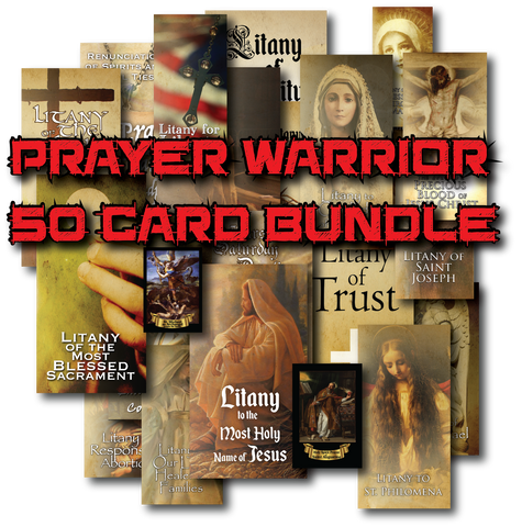 Catholic PRAYER WARRIOR 50 card bundle $115 value - only $59.95