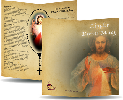 Chaplet of Divine Mercy - Prayer Card / 3x 6" folded