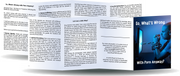 So What’s Wrong with Porn Anyway? — English Pamphlet