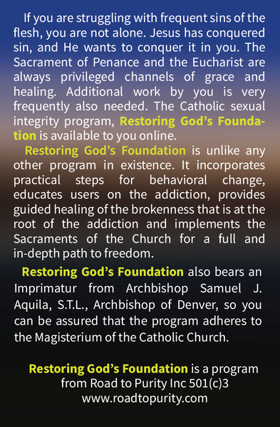 Restoring God's Foundation - PARISH SPONSORED ACCESS CARD (250 card bundle)