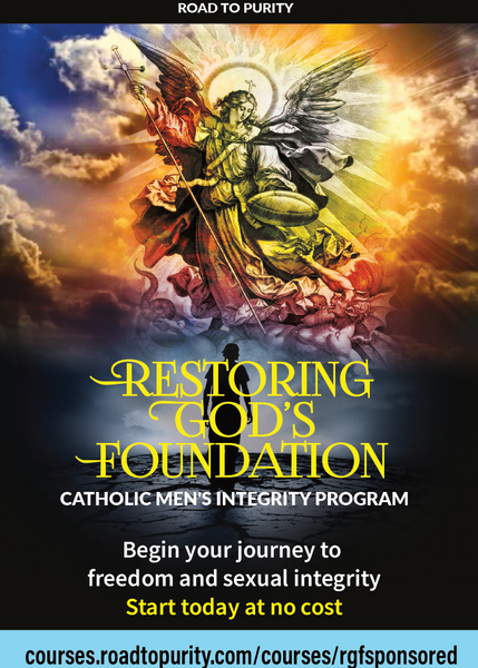Restoring God's Foundation - PARISH SPONSORED ACCESS CARD (100 card bundle)