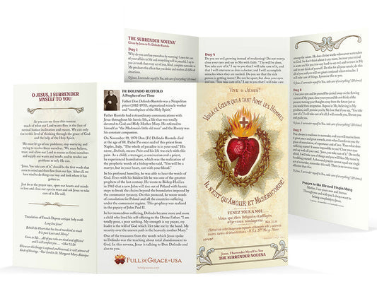 NEW! - SURRENDER NOVENA - Prayer Card / 3" x 6" folded